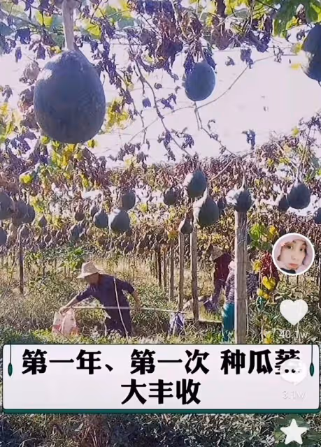 曝37歲網紅照顧植物人男友四年!年邁父母幫忙,此前僅交往7個月