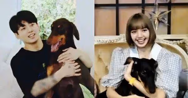 柾國-LISA戀愛傳聞?和GO7成員有關;休寧巴依葉靠哥哥出道?