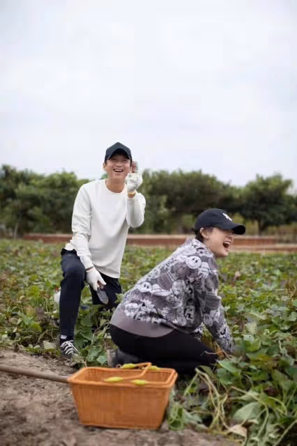 甄嬛傳開播十周年!孫儷蔡少芬發文祝賀,眾姐妹戲外境況大不同