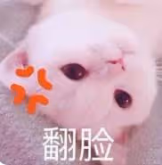 礦泉水男星和前妻的最新大瓜!