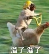 礦泉水男星和前妻的最新大瓜！