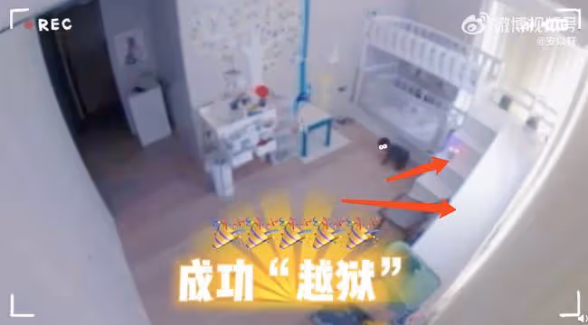 安以軒曬兒子「越獄」日常,變花樣翻床,66房間配滑滑梯大而敞亮