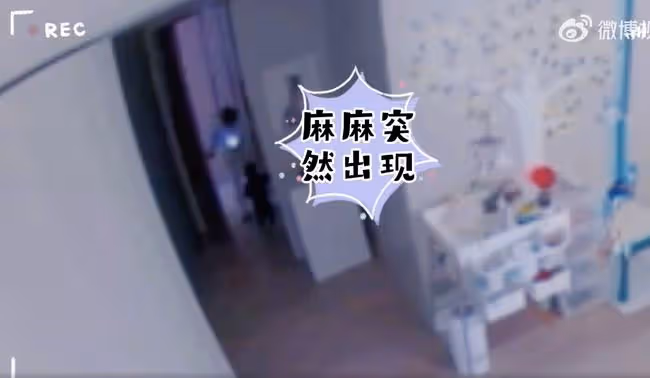 安以軒曬兒子「越獄」日常,變花樣翻床,66房間配滑滑梯大而敞亮