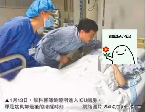 姚貝娜:33歲離世,捐獻了眼角膜,癌症復發後她為何拒絕再化療?