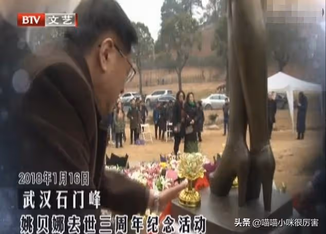 姚貝娜:33歲離世,捐獻了眼角膜,癌症復發後她為何拒絕再化療?