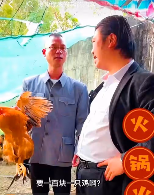 網紅「最帥魚塘老闆王師虎」拍視頻和村長徹底鬧翻,最佳組合破裂