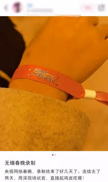 央視網絡春晚曝光!當紅流量明星齊聚,王冰冰疑現身被贊又美又甜