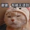 娛樂圈最甜半路夫妻也離婚了？果然，我們都被騙了……