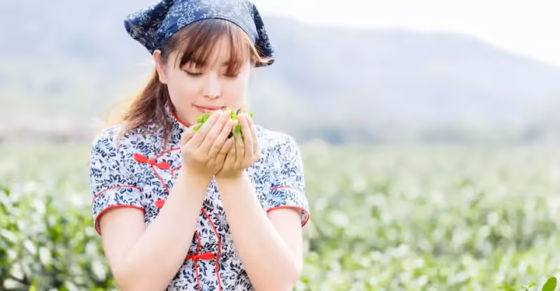他拿女兒的彩禮幫侄子買房，女兒接走母親：「你不是有侄子嗎？」