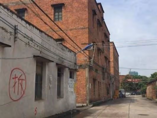 爸媽把三套房全給哥哥,如今爸媽要我養老,我拒絕:找你寶貝兒子