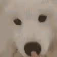 這問題不值得重視嗎?