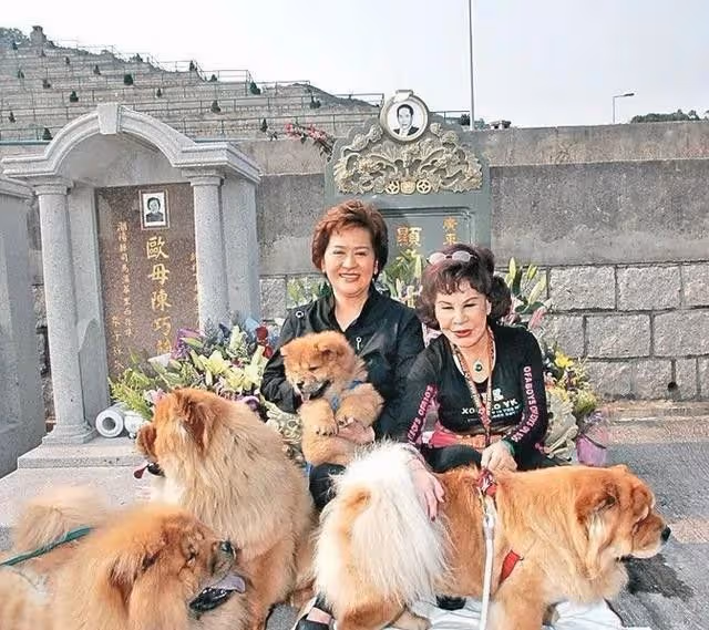 曝54歲港星打破丁克主義，三房女友秘密懷孕，8億財產有了繼承人