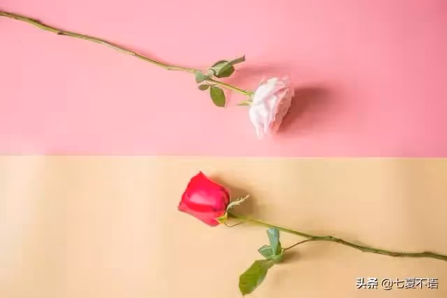 母親指責女兒3年不回娘家,要求幫兒子買車,女兒:我不想再扶貧