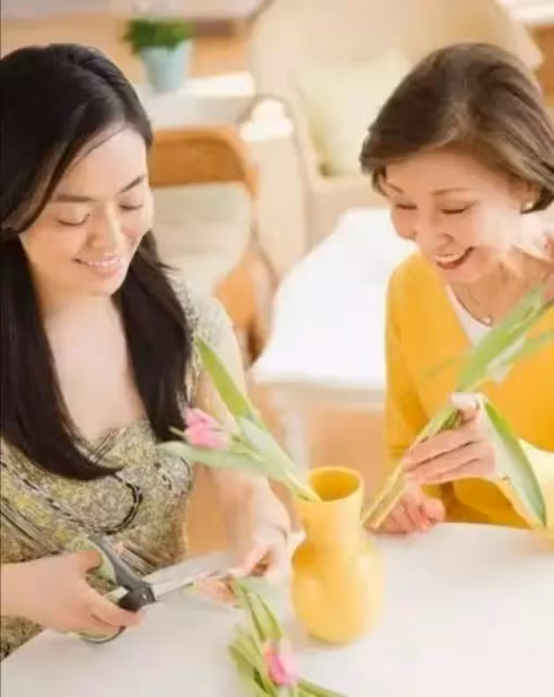 兒媳,你媽有退休金,你婆婆得用!婆婆,咱不是一家人