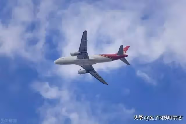 婆婆癱瘓在床,55歲兒媳四處旅遊:憑什麼照顧她,又不是我親娘