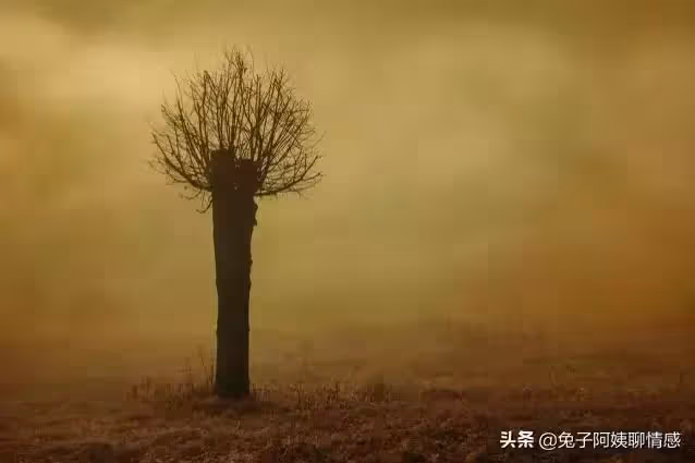 婆婆癱瘓在床,55歲兒媳四處旅遊:憑什麼照顧她,又不是我親娘