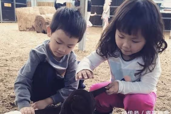 離婚時把一對兒女分開,說明王寶強骨子裡還是個村民