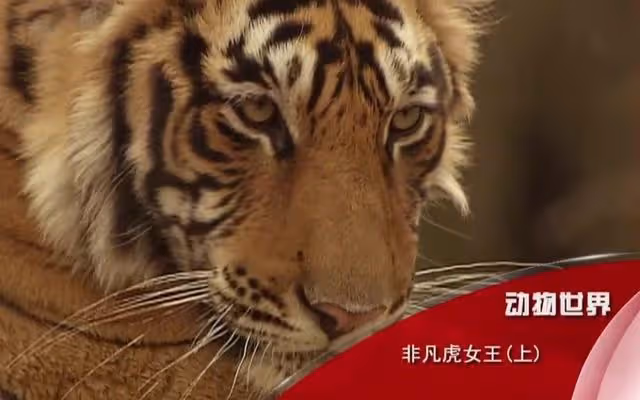 趙忠祥事件女主角:當年讓其顏面掃地的女醫生,如今過得如何?