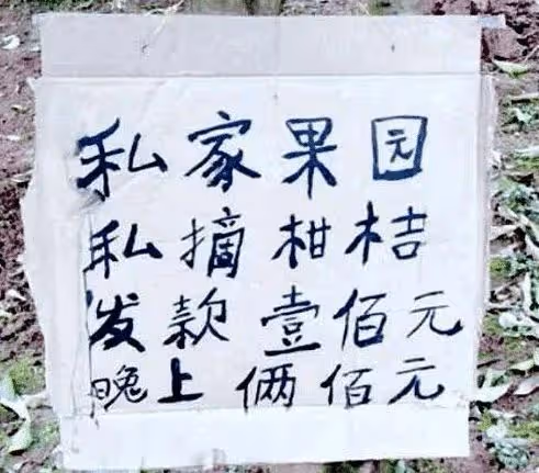 「看電影碰到如此大膽的姑娘，我該咋提醒她？」哈哈哈網友的三觀都歪了