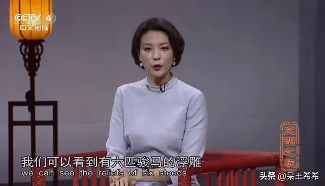 央視主持人劉芳菲:事業發展走下坡路,45歲至今單身
