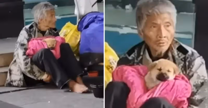 寒冬裡流浪的光腳老人，被凍得瑟瑟發抖，他卻把毯子留給了狗狗：「我是流浪漢，我的狗狗不是流浪狗」