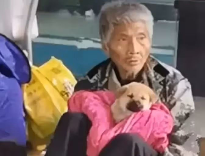 寒冬裡流浪的光腳老人,被凍得瑟瑟發抖,他卻把毯子留給了狗狗:「我是流浪漢,我的狗狗不是流浪狗」