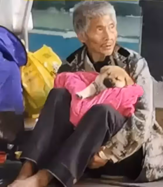 寒冬裡流浪的光腳老人,被凍得瑟瑟發抖,他卻把毯子留給了狗狗:「我是流浪漢,我的狗狗不是流浪狗」
