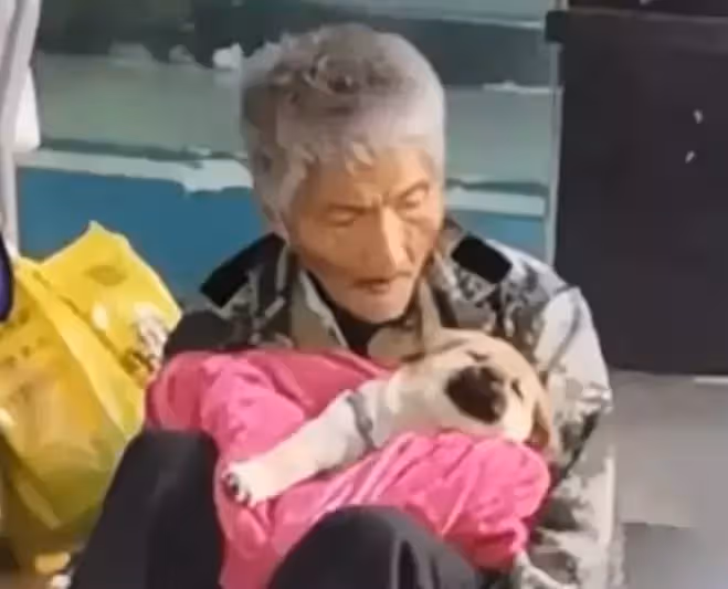 寒冬裡流浪的光腳老人，被凍得瑟瑟發抖，他卻把毯子留給了狗狗：「我是流浪漢，我的狗狗不是流浪狗」
