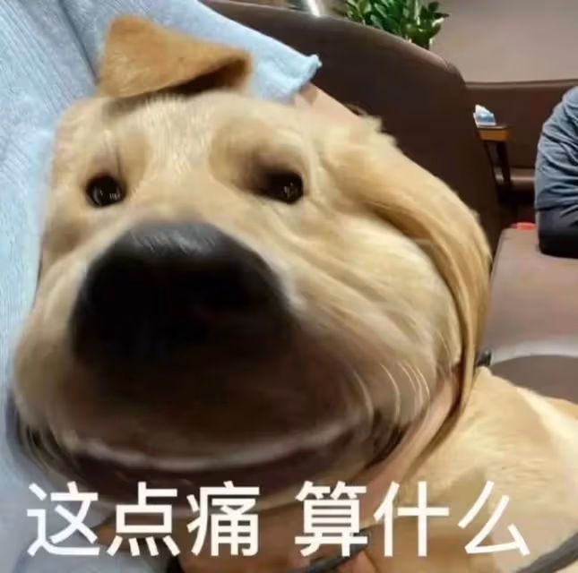 E句話看天下丨周杰倫宣布昆凌懷三胎!