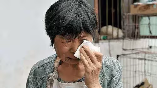 孫女要什麼房子,給你小叔子當婚房吧!兒媳:還是請您們搬出去吧