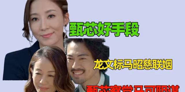 家族榮耀:龍文標馬昭慈聯姻,甄芯察覺馬可陰謀