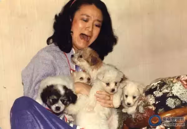 為行善破產!譚艾珍為救「70隻流浪動物」傾家蕩產住鐵皮屋 先生「臨終遺言」點醒她:立志當討喜歐巴桑