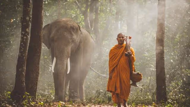 和古天樂傳緋聞,讓張家輝懷疑性取向,無數宅男心目中的泰國女神