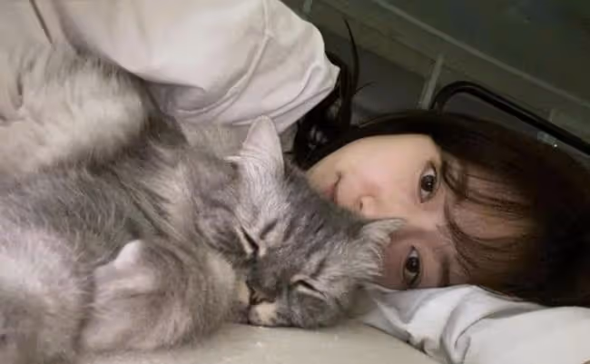 朴信惠結婚倒計時心情大好,先曬貓再曬素顏自拍,立志做最美人妻