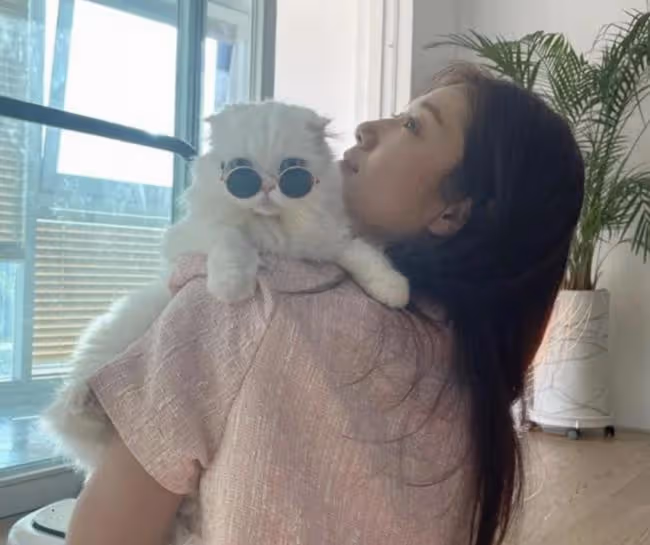朴信惠結婚倒計時心情大好,先曬貓再曬素顏自拍,立志做最美人妻