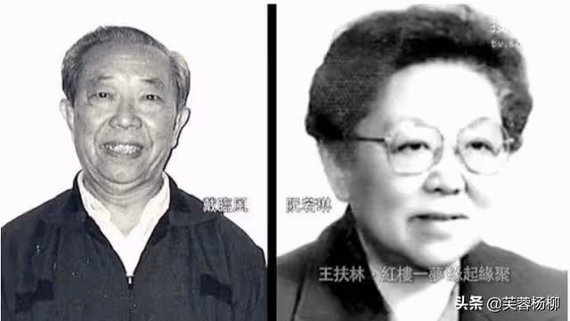 87《紅樓夢》他寫小字報,舉報男男女女亂七八糟,王扶林傻眼了