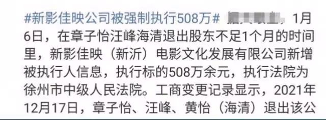 下一個「張庭」?汪峰章子怡夫婦被強制執行!涉案金額令人震撼
