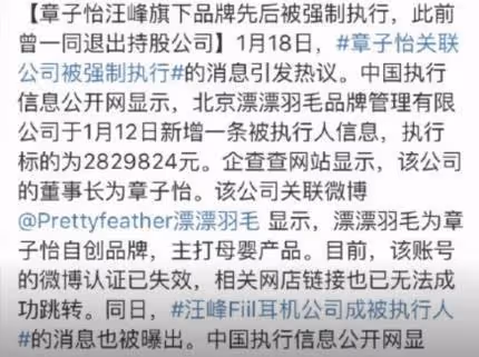 下一個「張庭」?汪峰章子怡夫婦被強制執行!涉案金額令人震撼