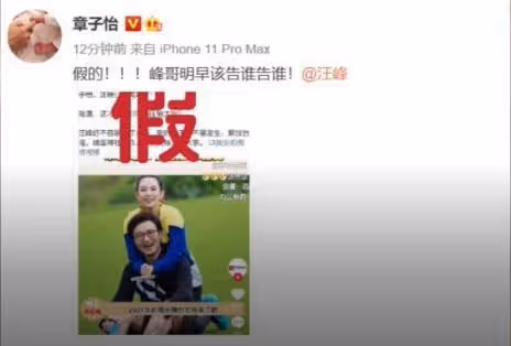 下一個「張庭」？汪峰章子怡夫婦被強制執行！涉案金額令人震撼