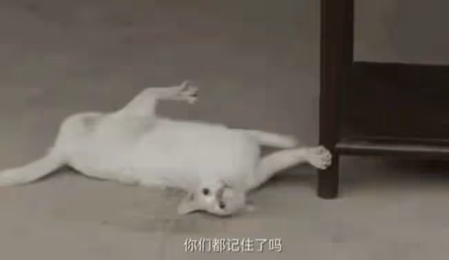 韓古裝劇被曝虐馬致死!馬匹被故意絆倒狠摔,倒地無力掙扎太痛苦