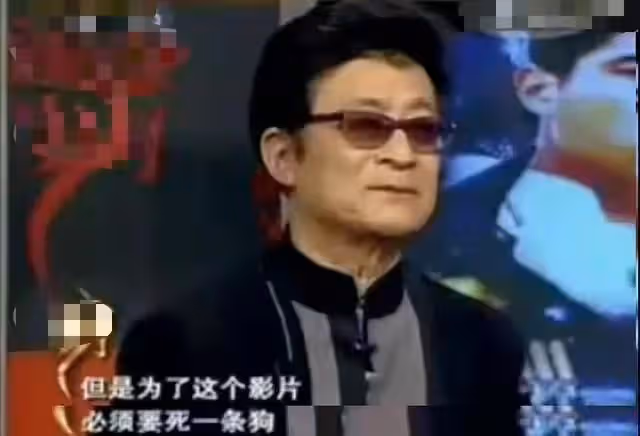 韓古裝劇被曝虐馬致死!馬匹被故意絆倒狠摔,倒地無力掙扎太痛苦