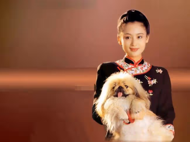 既然沒傾世之顏,就別硬演白髮女神,這5位女演員告訴你,什麼是一眼萬年