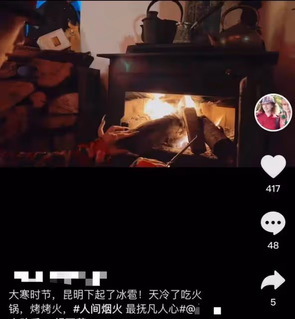 63歲楊麗萍親自燒火做家務,大雪天吃柴火雞,穿東北花襖氣質好