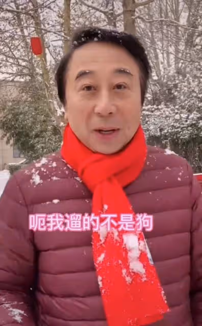 64歲馮鞏大雪天遛狗!首度回應不加盟央視春晚,將在仨地方台亮相
