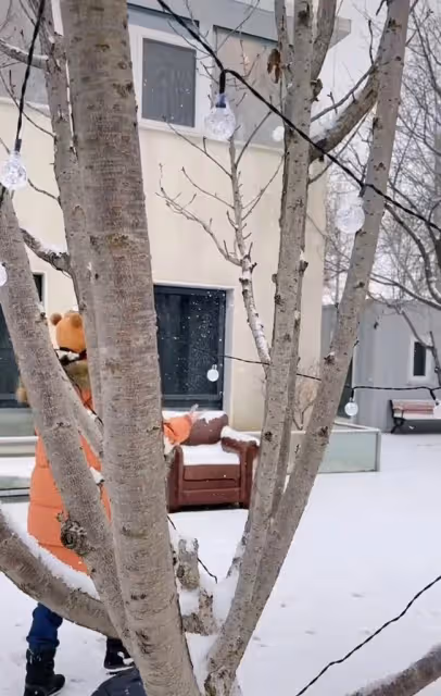 55歲周海媚興奮玩雪,皮膚白得發光似少女,獨居北京豪宅已20年