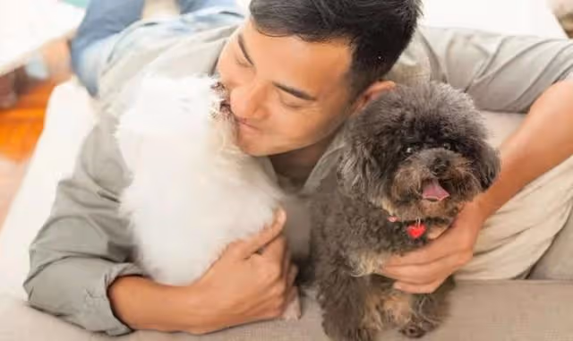 吸金力超強!TVB一線男星內地連拍三套戲,圈外還做起美容界老闆