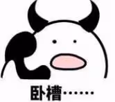 南洋雙胞胎妹妹生下私生子的瓜