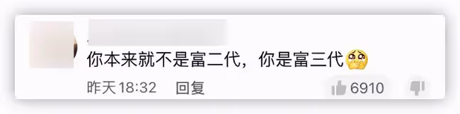 楊子侄女否認是富二代,稱全身行頭不抵網紅一個包,戴天珠遭吐槽