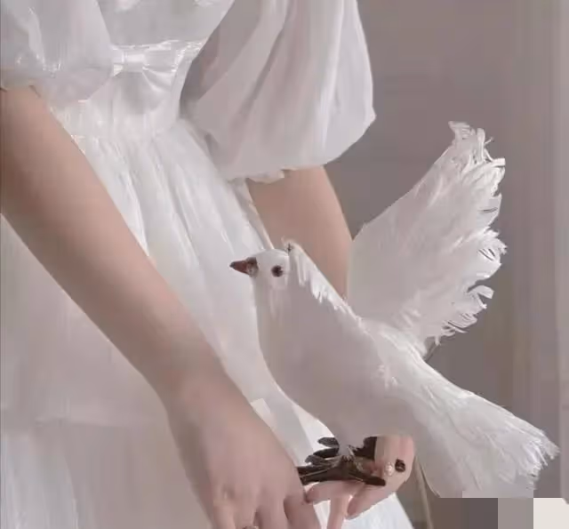 奉子成婚？重男輕女？他們的愛情沒有想像的那麼美好
