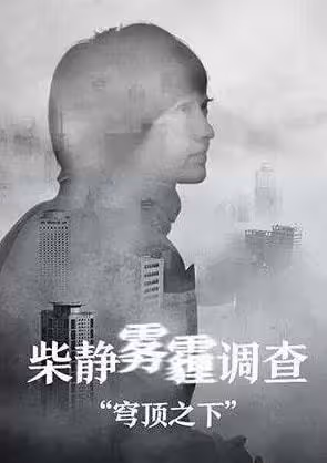 柴靜：離職央視，從公知女神到「全民公敵」，她到底做了些什麼？